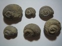 Unknown  Spain. Uploaded by Granotius